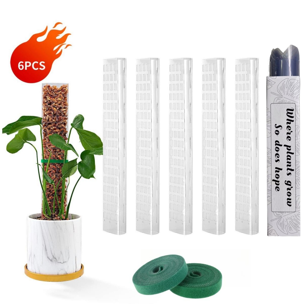 Indoor Herb Garden - Lumut tiang tanaman pendukung plastik transparan