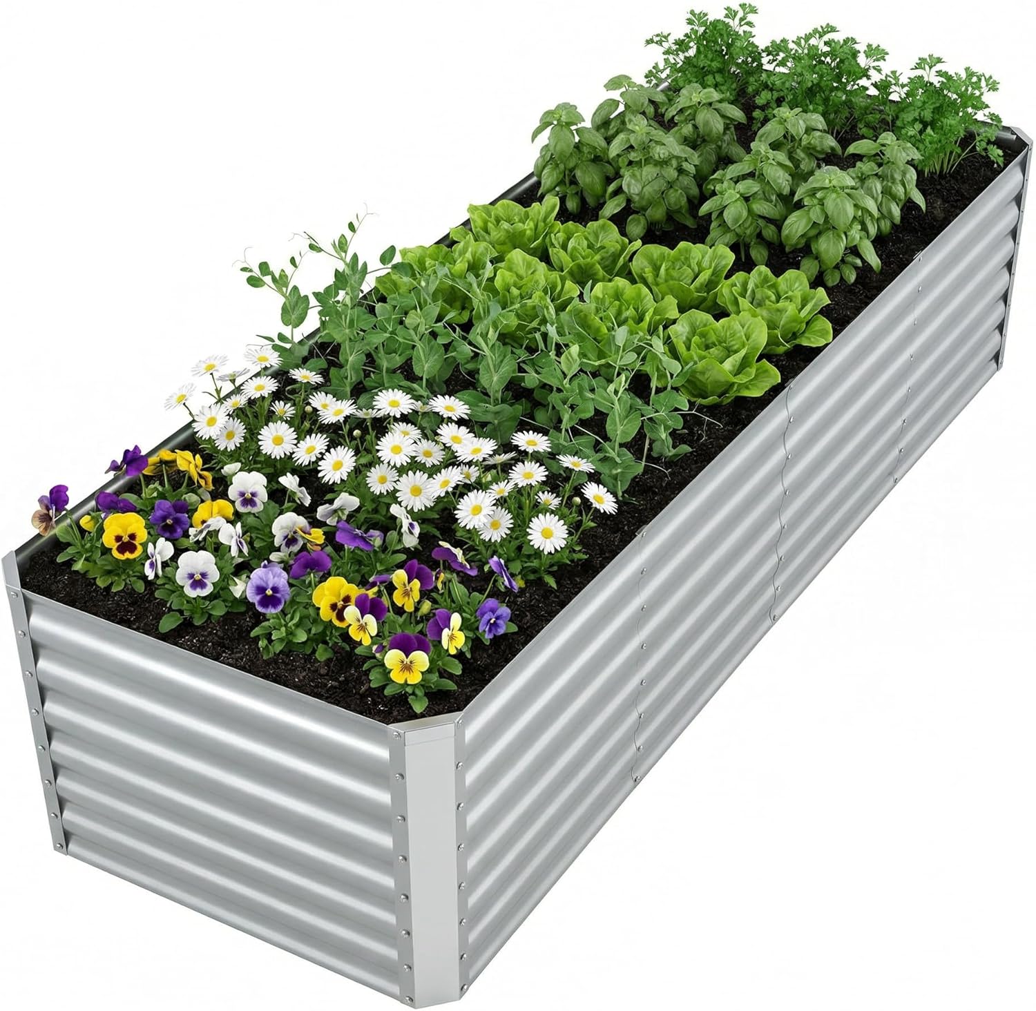 Raised Garden Bed - Kotak Tanam Terangkat Galvanis untuk Berkebun