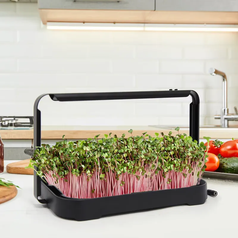 Hydroponic Kit - Baki Hidroponik untuk Tanaman Mikro Dalam