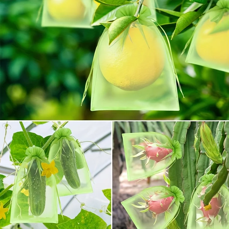 100 Buah Tas Pelindung Hijau d - Grow Bag ulasan dan harga