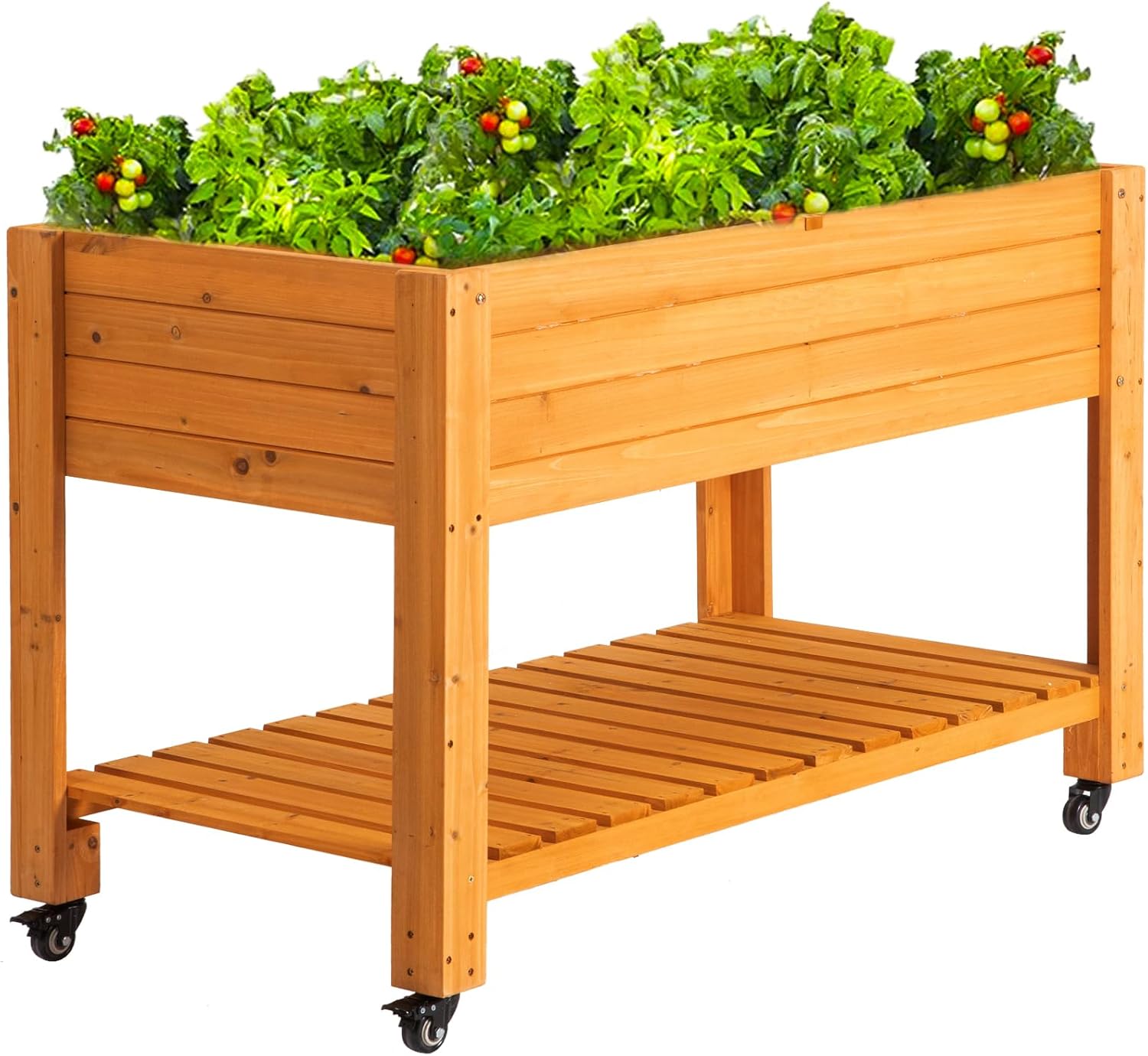Tempat Tanam Kayu Terangkat, K - Raised Garden Bed ulasan dan harga