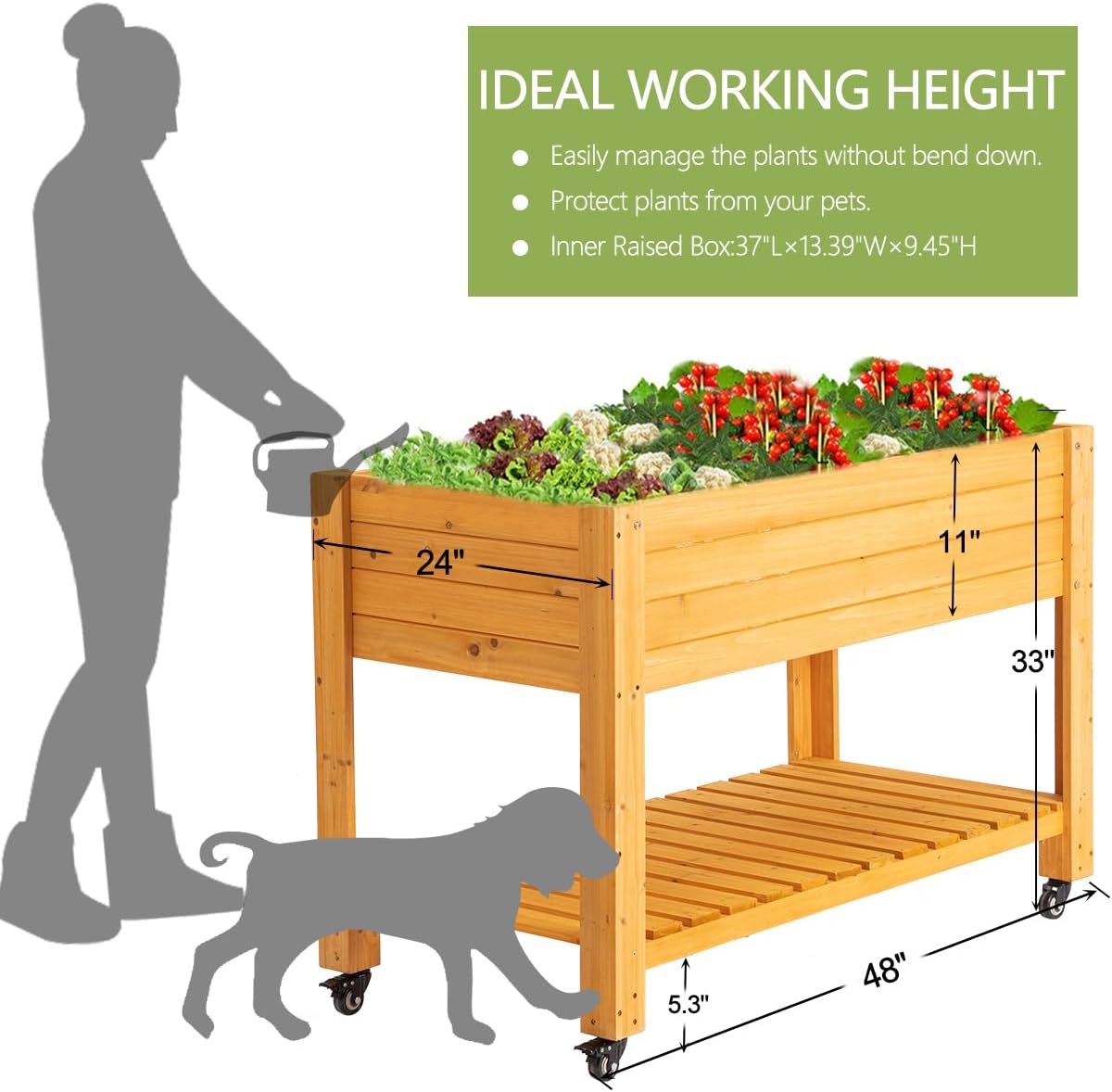 Tempat Tanam Kayu Terangkat, K - Raised Garden Bed ulasan dan harga