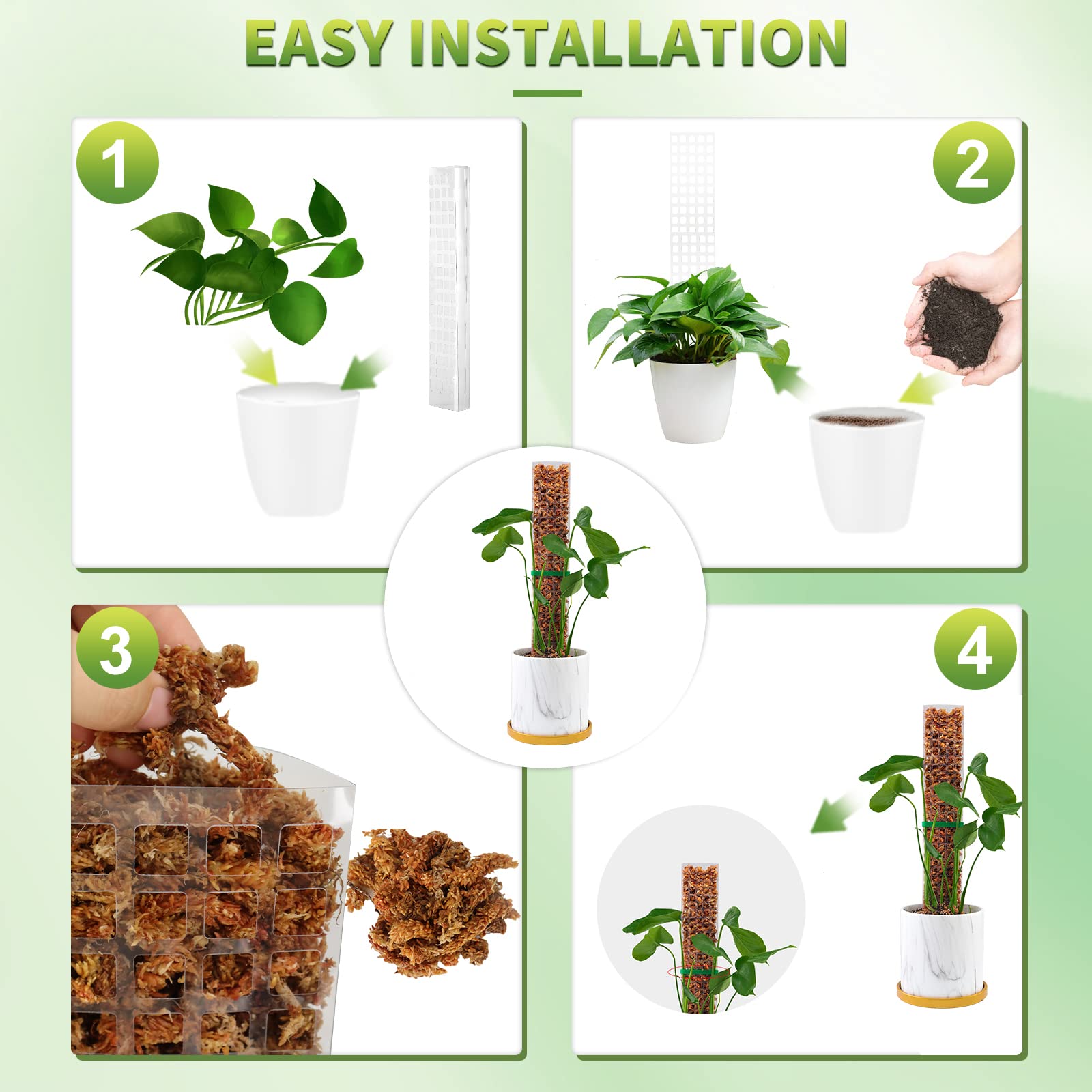 Lumut tiang tanaman pendukung  - Indoor Herb Garden ulasan dan harga