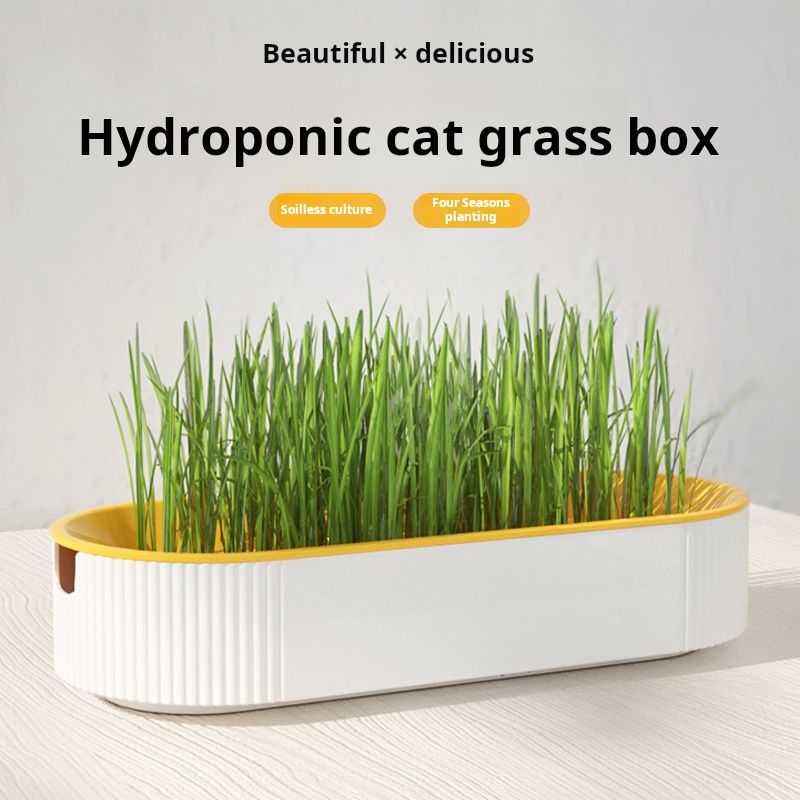 Kotak Hidroponik Rumput Kucing - Hydroponic Kit ulasan dan harga