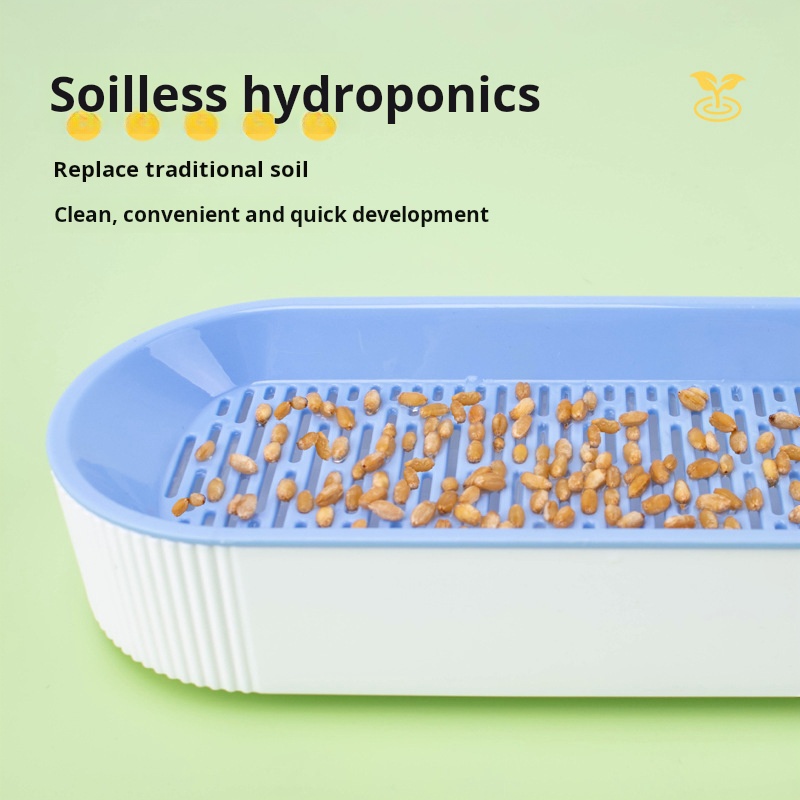 Kotak Hidroponik Rumput Kucing - Hydroponic Kit ulasan dan harga