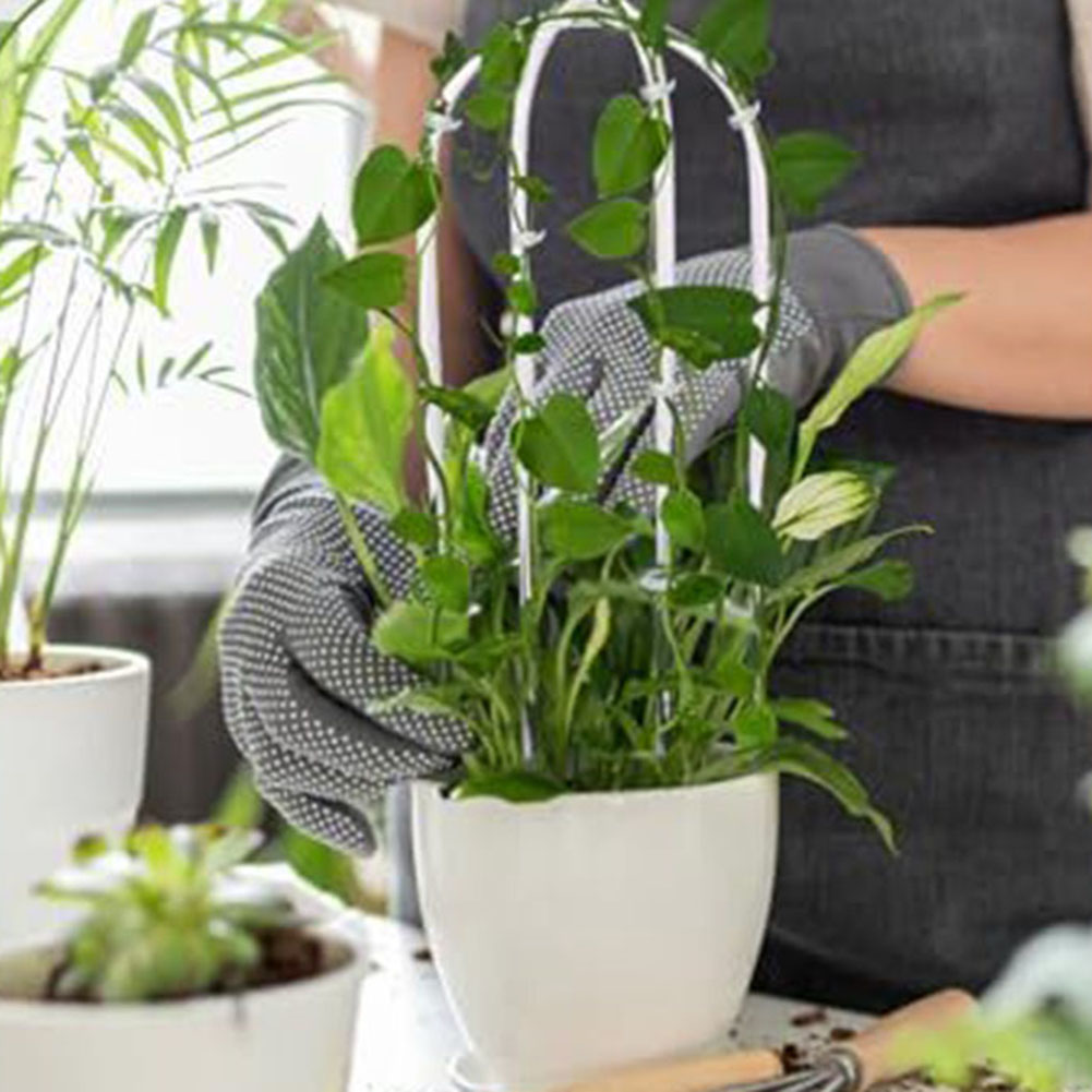 2 Buah Rak Tanaman Akrilik Ber - Indoor Herb Garden ulasan dan harga