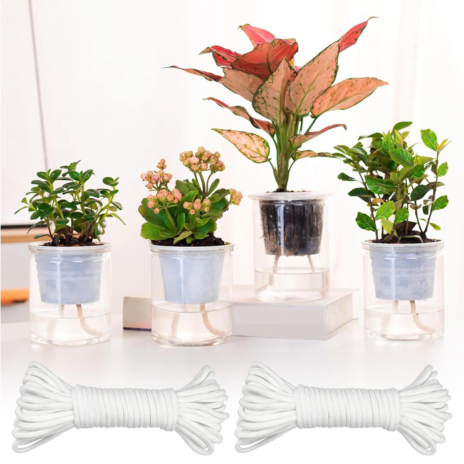 Tali Penyiraman Otomatis 2-Pie - Self Watering Planter ulasan dan harga