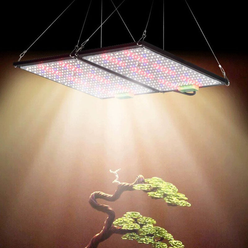 Lampu LED Quantum-Board untuk  - Grow Light Led ulasan dan harga