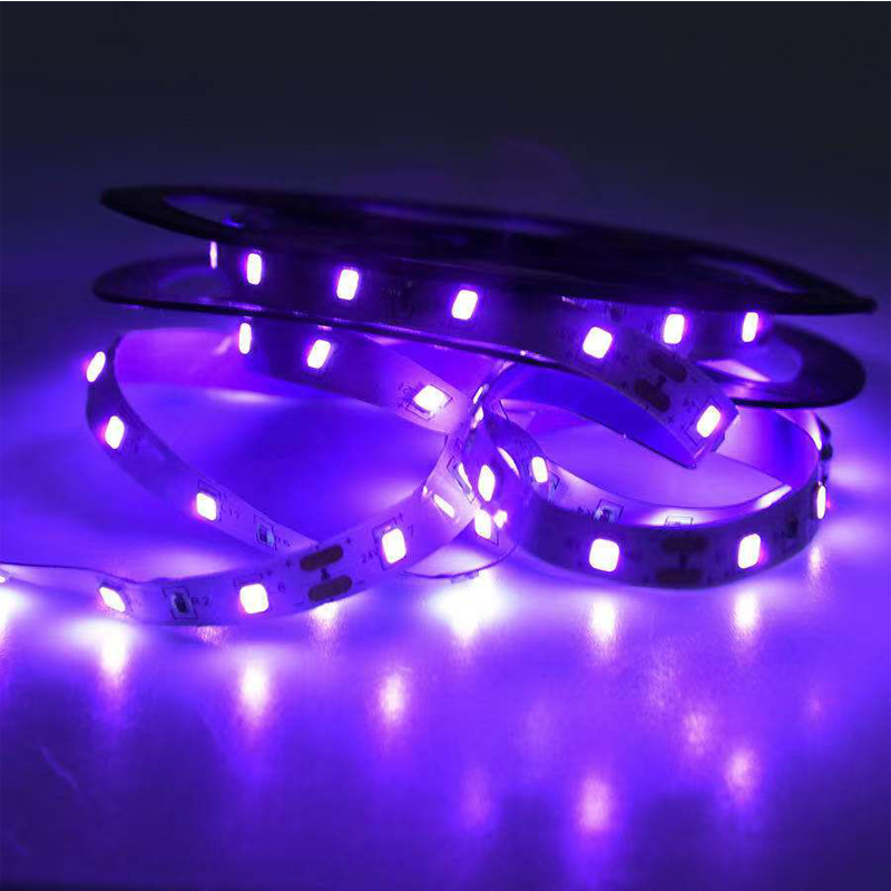 Lampu Ultraviolet LED UV, Lamp - Grow Light Led ulasan dan harga