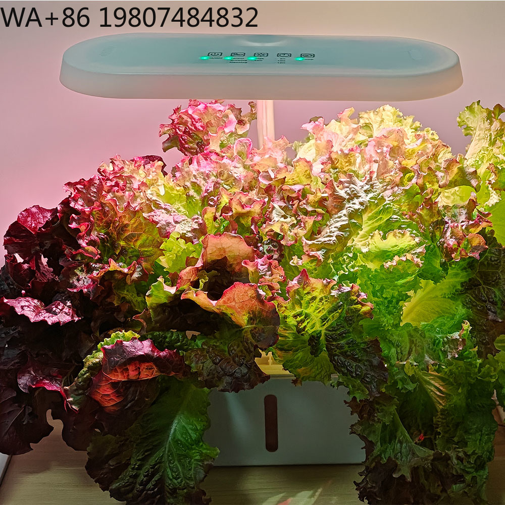 Kit Budidaya Hidroponik 8 Luba - Hydroponic Kit ulasan dan harga