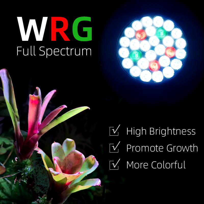 Lampu LED Spektrum Penuh Y30SE - Grow Light Led ulasan dan harga