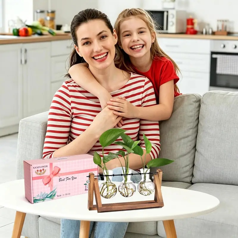 Kit Terarium Tanaman Hidroponi - Hydroponic Kit ulasan dan harga
