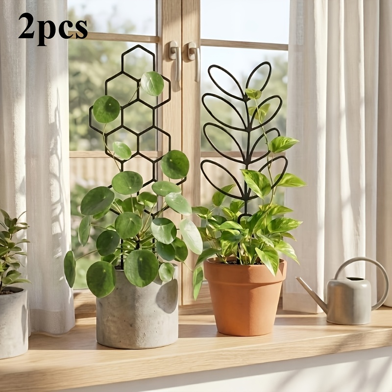 1/2 Paket Teralis Tanaman Dala - Indoor Herb Garden ulasan dan harga