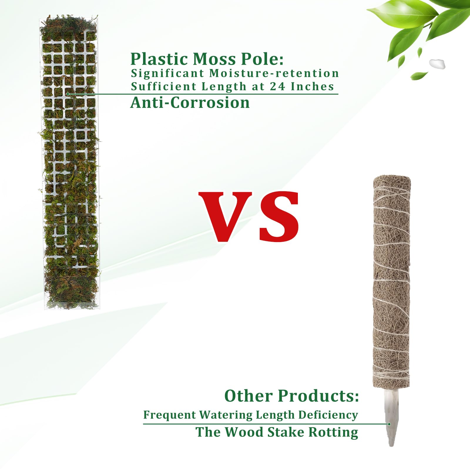 Lumut tiang tanaman plastik be - Indoor Herb Garden ulasan dan harga