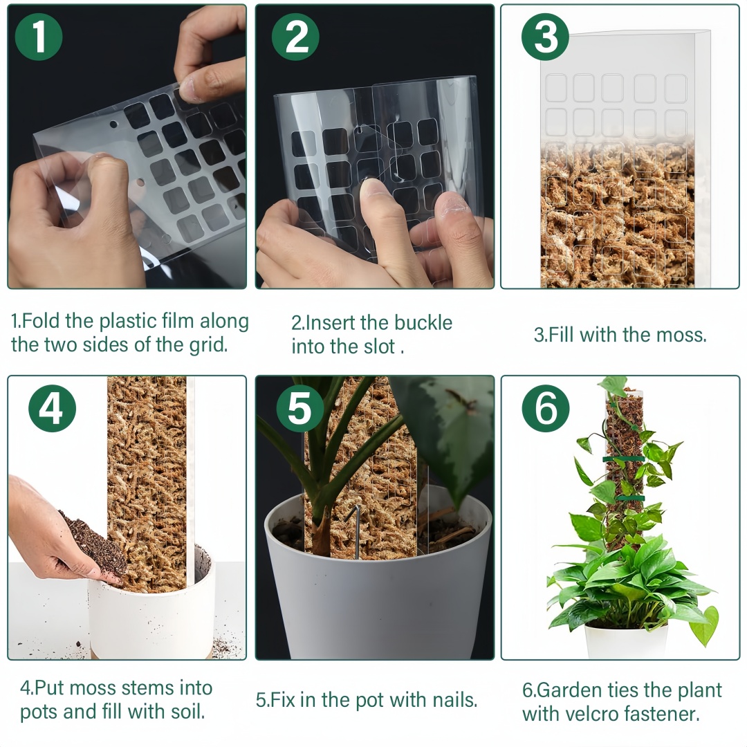 Lumut tiang tanaman plastik be - Indoor Herb Garden ulasan dan harga