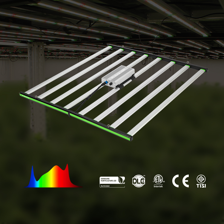Lampu LED Spektrum Penuh Lm301 - Grow Light Led ulasan dan harga