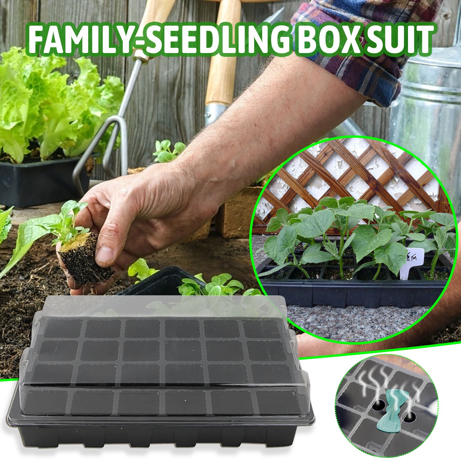 24 sel baki bibit kotak kuman  - Seed Starter Tray ulasan dan harga