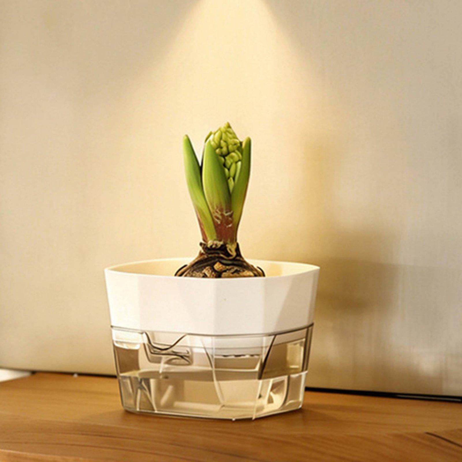 Vas Hidroponik Dua Lapis Penye - Plant Pot ulasan dan harga