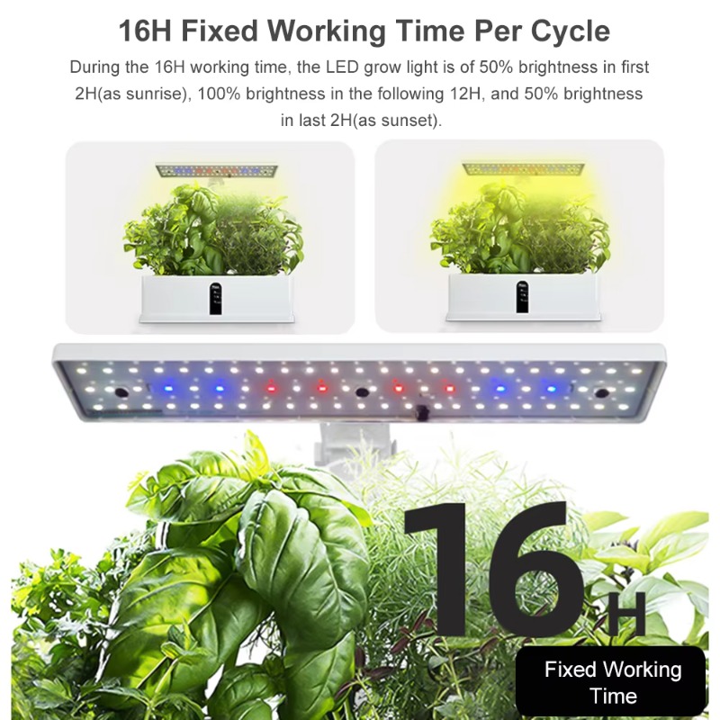 Sistem Penanaman Hidroponik Pi - Hydroponic Kit ulasan dan harga