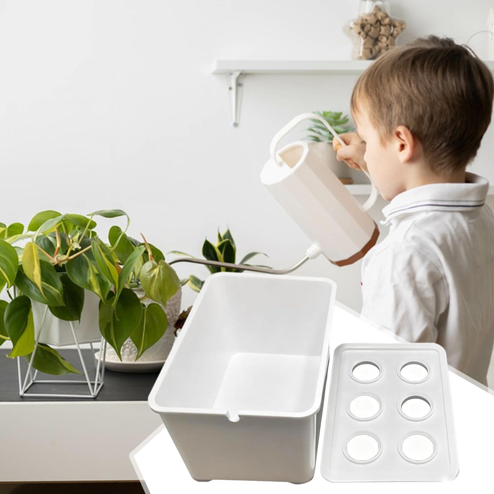 Perlengkapan Penanaman Hidropo - Hydroponic Kit ulasan dan harga