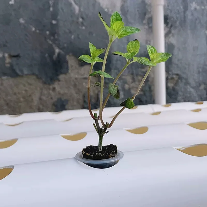 Paket Sistem Pertanian Tanpa T - Hydroponic Kit ulasan dan harga