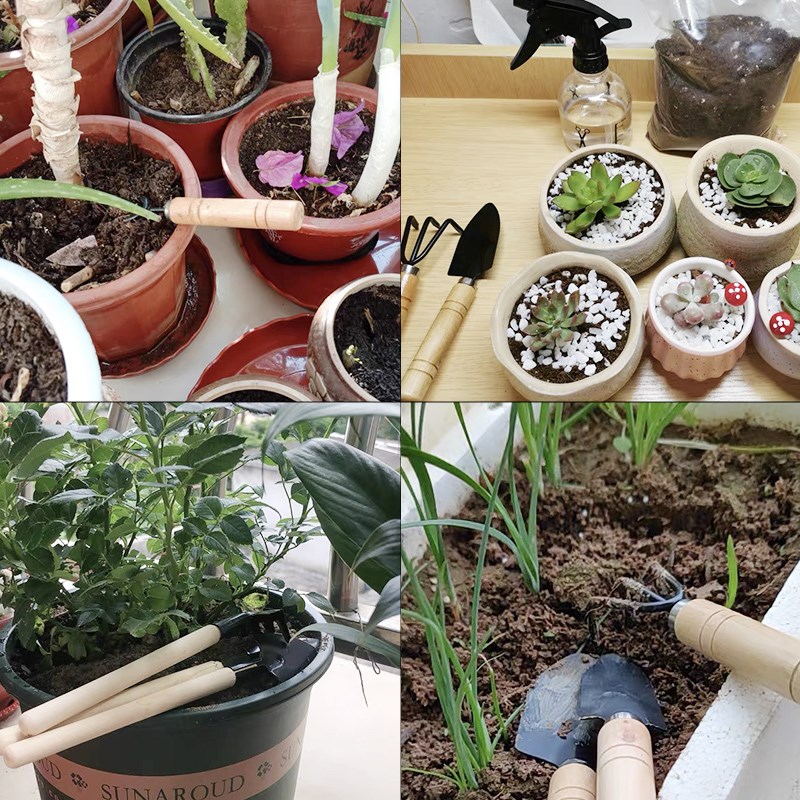3 Buah/1Set Set Alat Berkebun  - Indoor Herb Garden ulasan dan harga