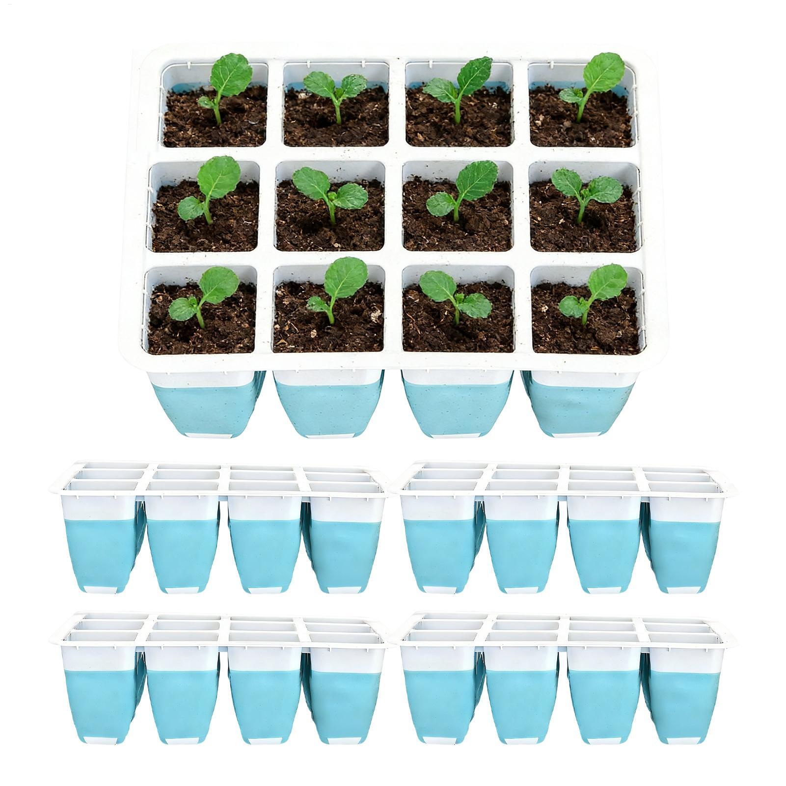 5 Paket Baki Semai Silikon 60  - Seed Starter Tray ulasan dan harga