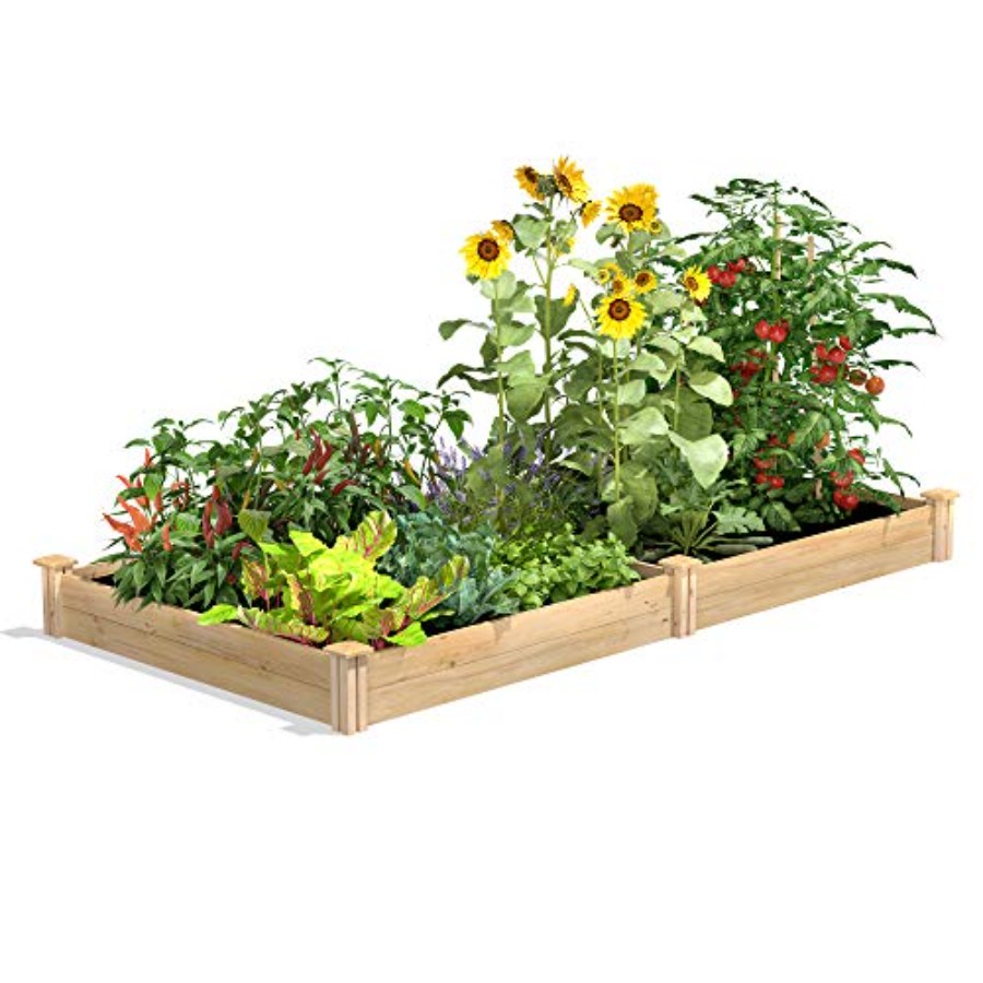 Kandang tanaman yang ditinggik - Raised Garden Bed ulasan dan harga