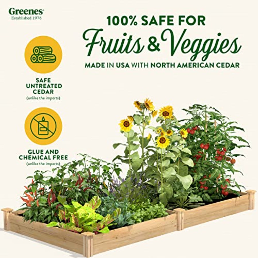 Kandang tanaman yang ditinggik - Raised Garden Bed ulasan dan harga