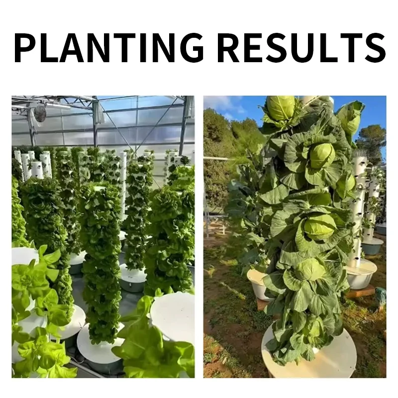 Sistem Kit Pertumbuhan Hidropo - Hydroponic Kit ulasan dan harga