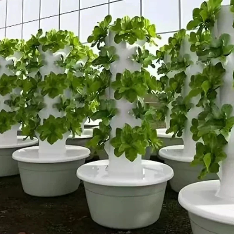 Sistem Kit Pertumbuhan Hidropo - Hydroponic Kit ulasan dan harga