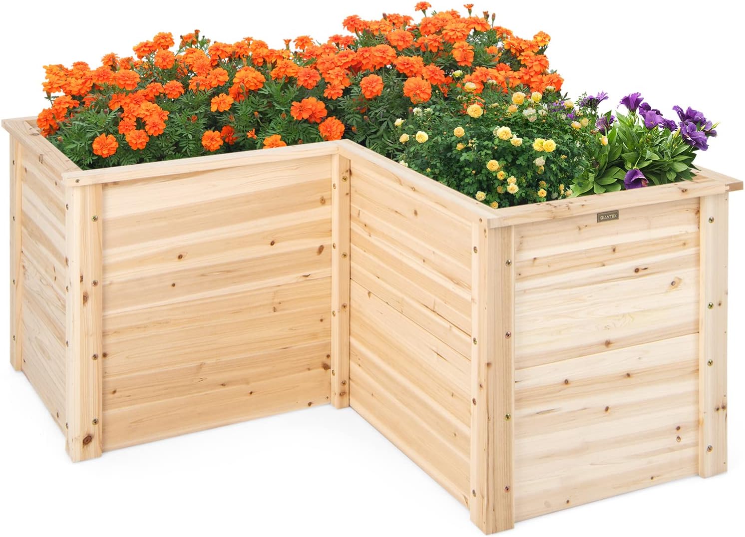 Tempat Tanam Kayu Solid untuk  - Raised Garden Bed ulasan dan harga