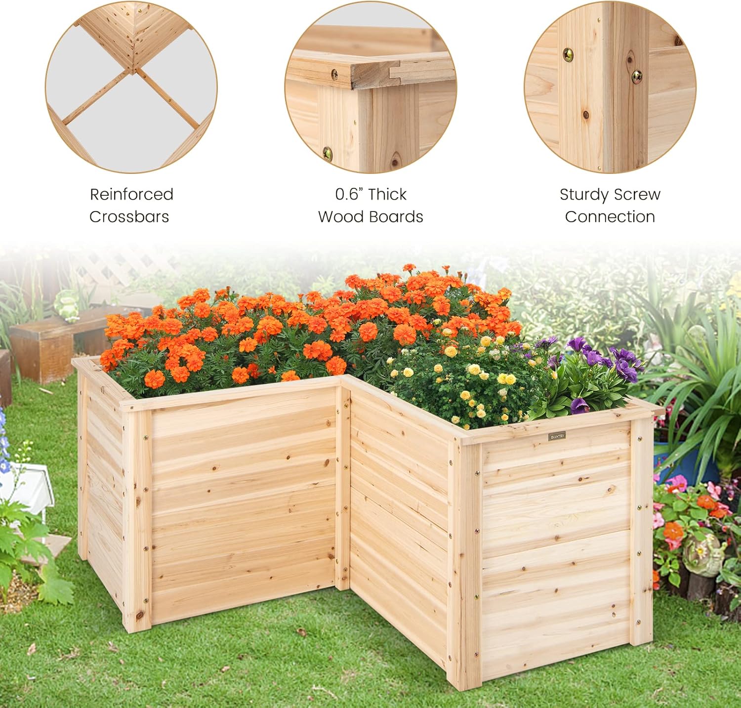 Tempat Tanam Kayu Solid untuk  - Raised Garden Bed ulasan dan harga