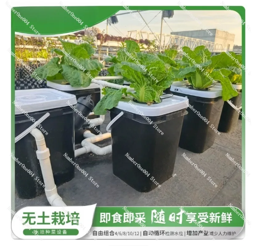 Kit Hidroponik Balkon Rumah RD - Hydroponic Kit ulasan dan harga
