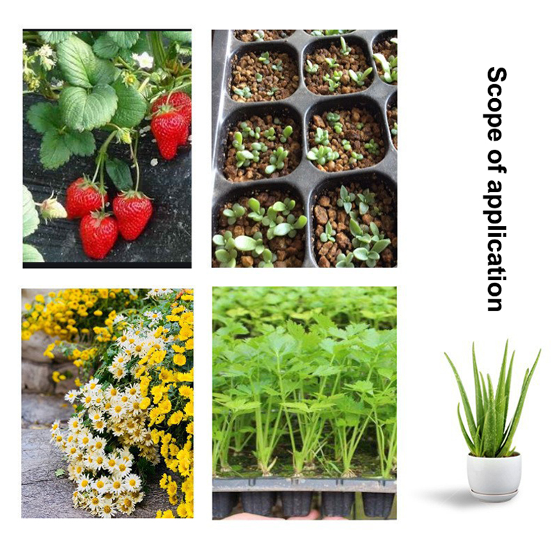 10 Buah Baki Bibit Plastik, Wa - Seed Starter Tray ulasan dan harga
