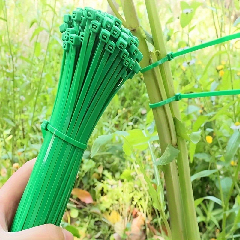 100pcs Pengikat Kabel Taman, P - Plant Pot ulasan dan harga