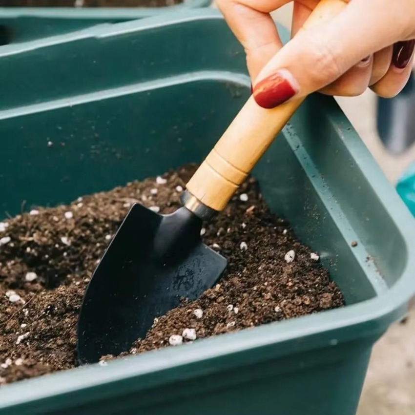 3 Buah/Set Peralatan Berkebun  - Trowel Garden Tools ulasan dan harga