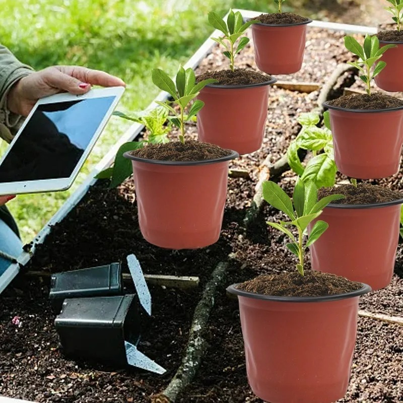 100/20x Pot Pembibitan Hitam M - Seed Starter Tray ulasan dan harga