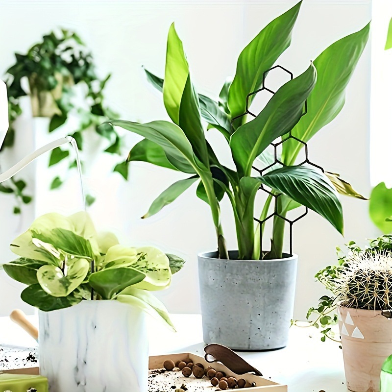 1 Buah Teralis Tanaman Desain  - Indoor Herb Garden ulasan dan harga
