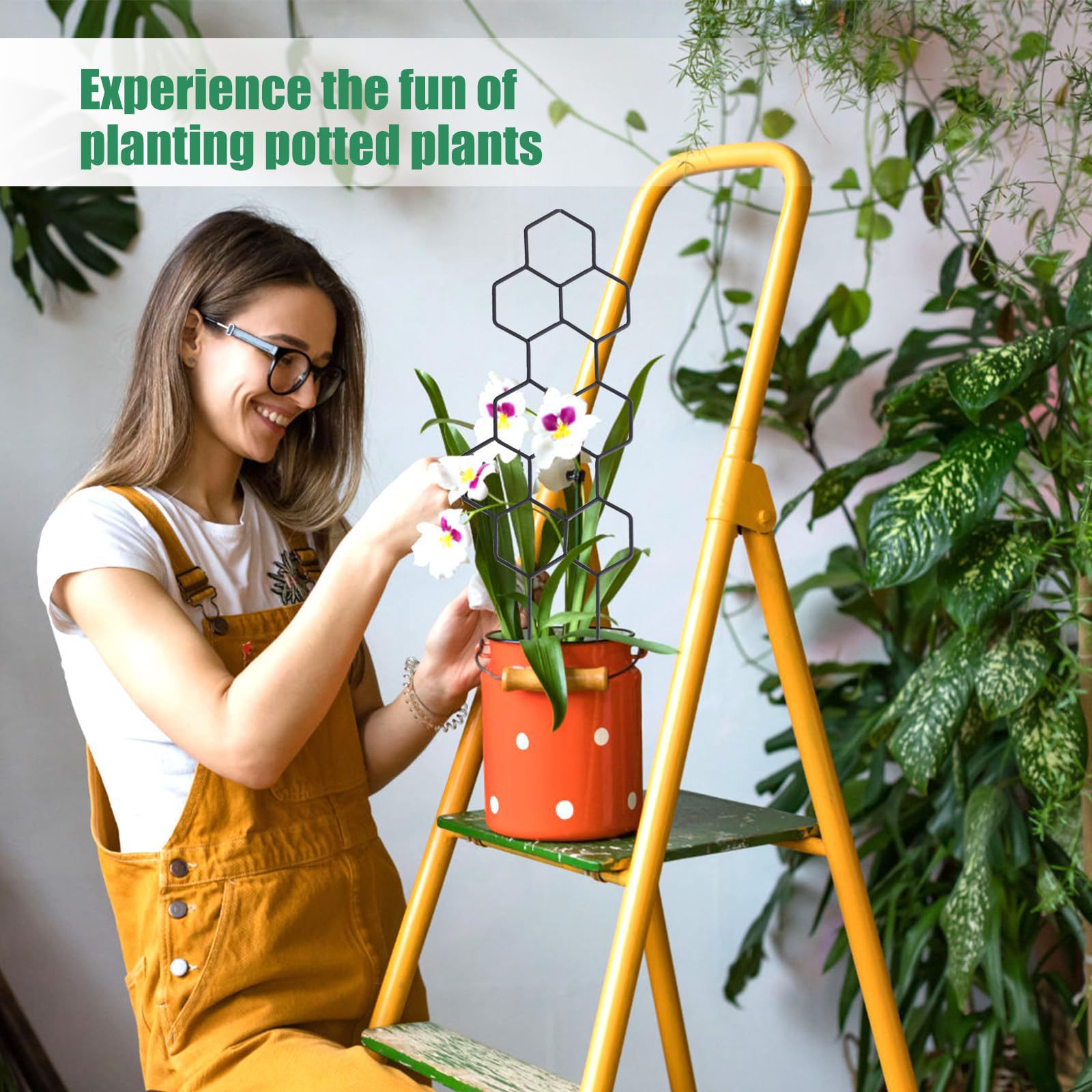 1 Buah Teralis Tanaman Desain  - Indoor Herb Garden ulasan dan harga